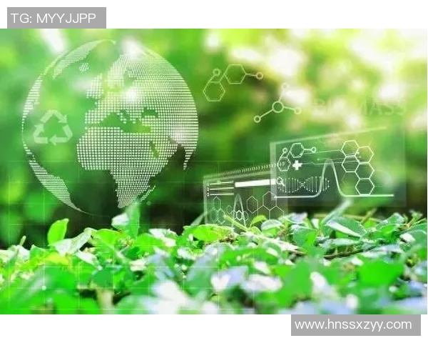 以可持续发展为导向的环境保护策略与绿色科技创新路径研究