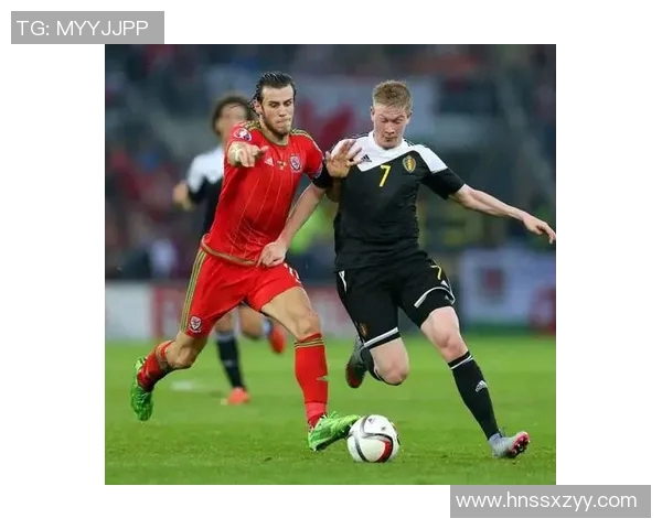威尔士与比利时精彩对决集锦回顾与分析