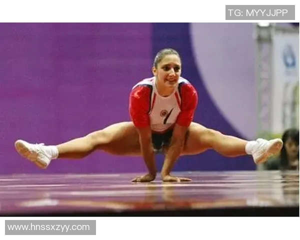 竞技体操评分体系解析与评分标准的演变及影响因素分析