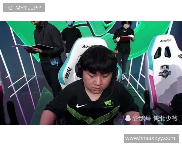 V5战队在比赛中的数据分析与经验总结探讨