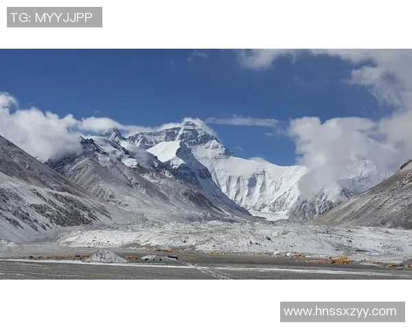 王伟的DOTA2人生深度对话探索游戏背后的梦想与挑战