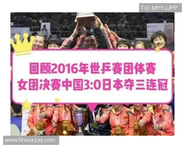 成都乒乓球队的拼搏历程与荣耀时刻的特别报道